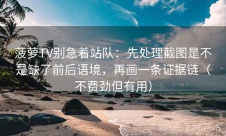菠萝TV别急着站队：先处理截图是不是缺了前后语境，再画一条证据链（不费劲但有用）